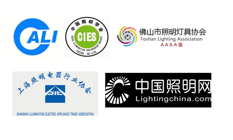 Some LED Lighting Industry Associations In China